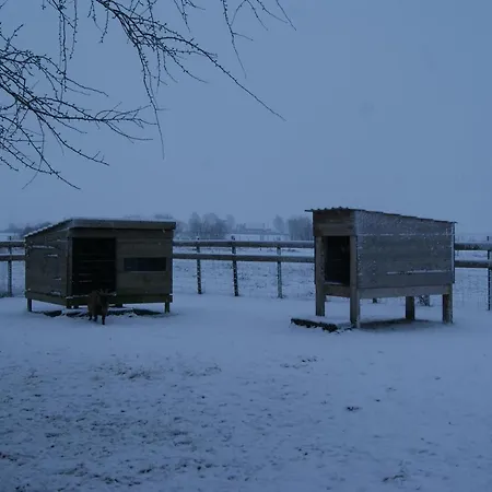Alojamento de Acomodação e Pequeno-almoço Odyssée - D'hôtes Avec Et Sauna Privés